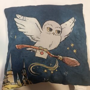 Cojín Harry Potter